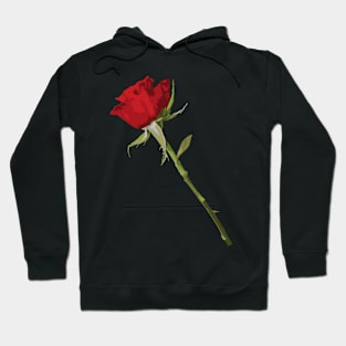 Roses Hoodie